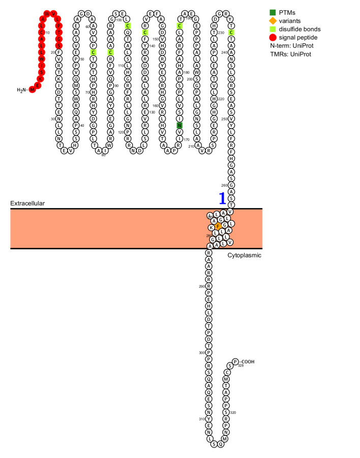 免疫检查点抑制分子Siglec15