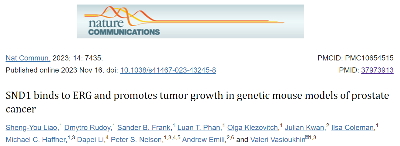 SND1：前列腺癌的潜在治疗靶点