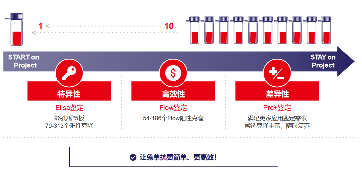 抗GPCR抗体的多重选择性筛选