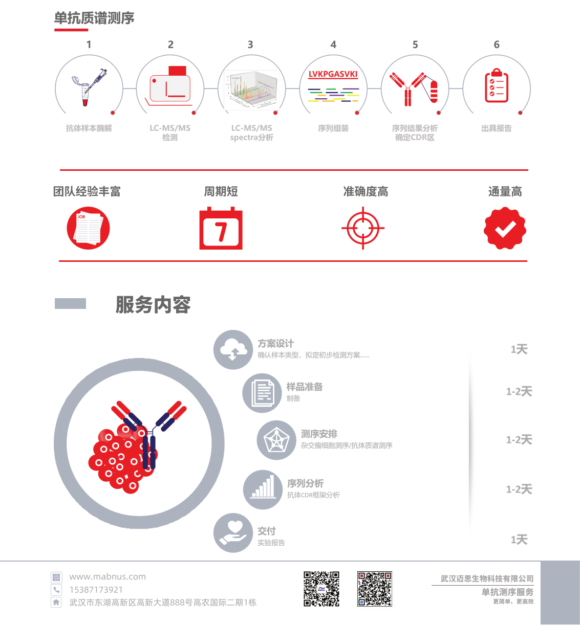 感恩回馈：抗体测序&表达服务优惠答谢