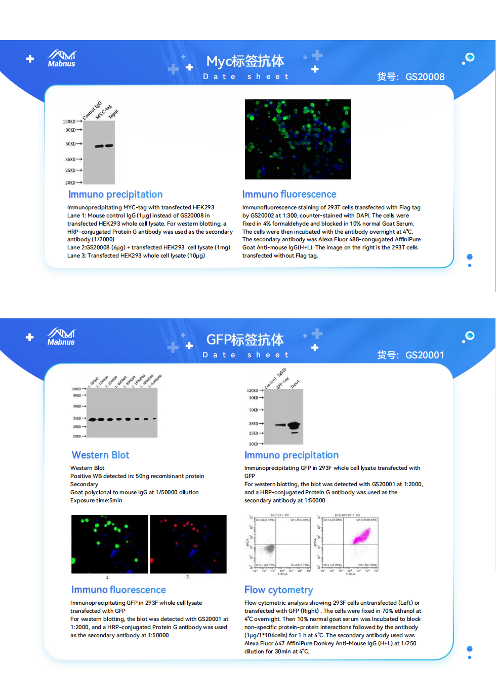 重组标签凝胶&磁珠系列产品：8折活动