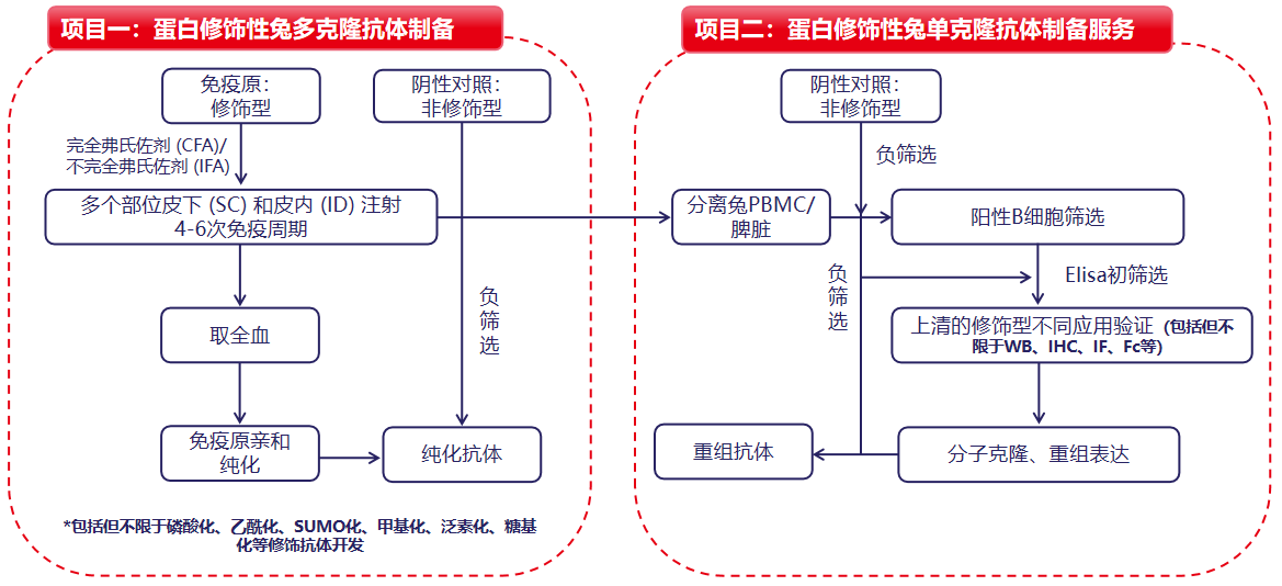 简介